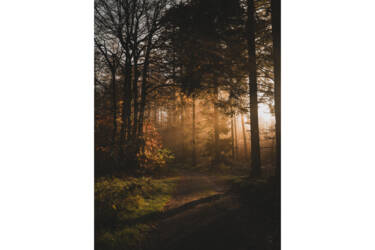 Photos for Nikon magazine