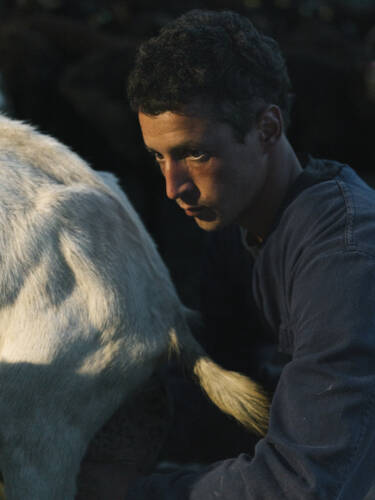 Nikon magazine - Nikon film and photo contest 2024-2025