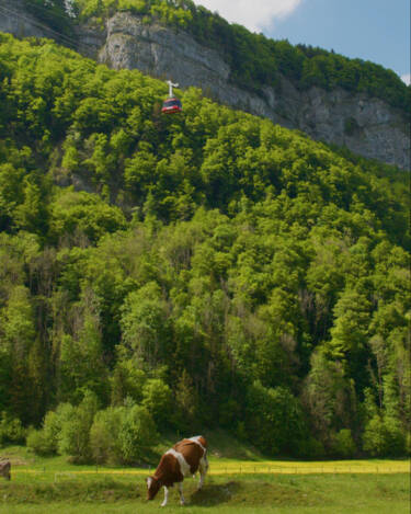 Nikon magazine - vertical video with Memories from Abroad